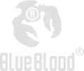 BlueBlood Jeans